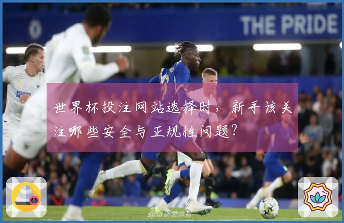 世界杯投注网站选择时，新手该关注哪些安全与正规性问题？