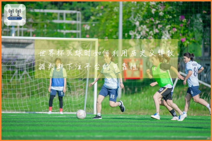 世界杯买球时如何利用历史交锋数据判断下注平台的可靠性