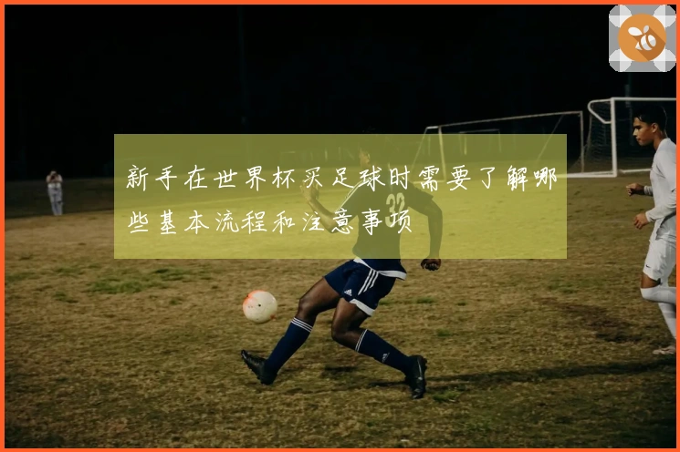 新手在世界杯买足球时需要了解哪些基本流程和注意事项