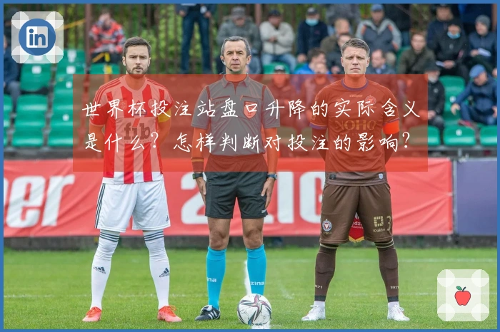 世界杯投注站盘口升降的实际含义是什么？怎样判断对投注的影响？