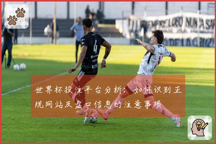 世界杯投注平台分析：如何识别正规网站及盘口信息的注意事项