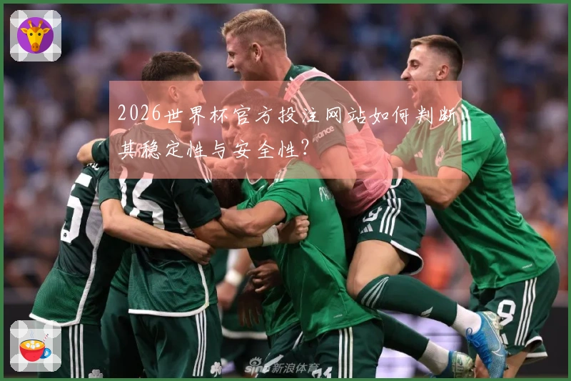 2026世界杯官方投注网站如何判断其稳定性与安全性?