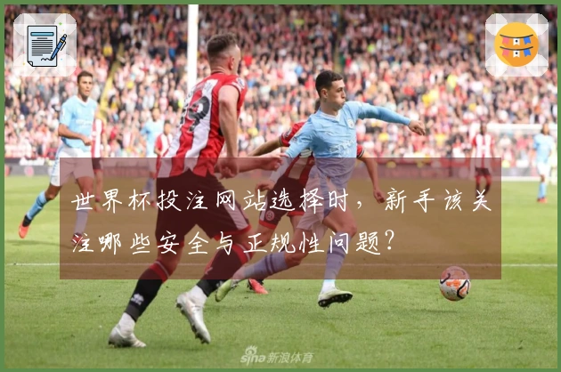 世界杯投注网站选择时，新手该关注哪些安全与正规性问题？