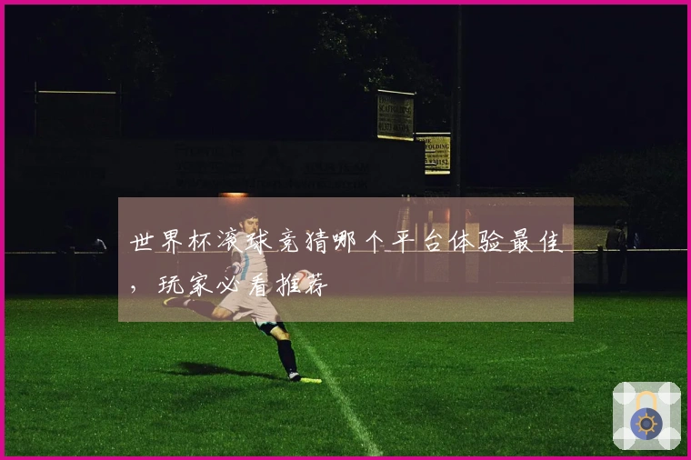 世界杯滚球竞猜哪个平台体验最佳，玩家必看推荐