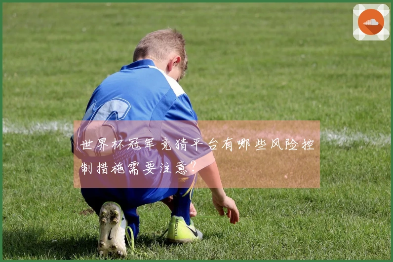 世界杯冠军竞猜平台有哪些风险控制措施需要注意？