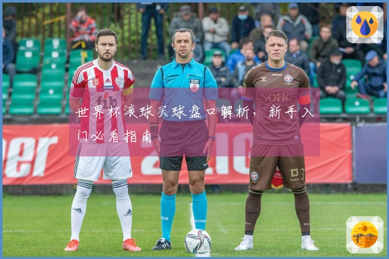 世界杯滚球买球盘口解析，新手入门必看指南