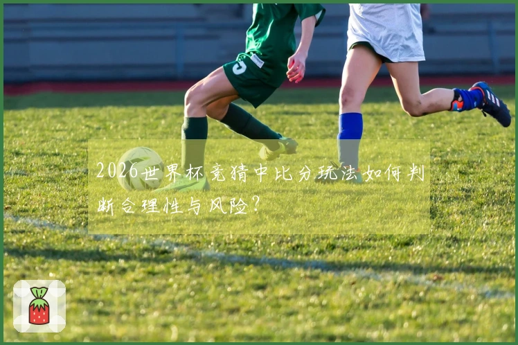 2026世界杯竞猜中比分玩法如何判断合理性与风险？