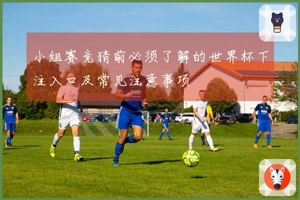 小组赛竞猜前必须了解的世界杯下注入口及常见注意事项