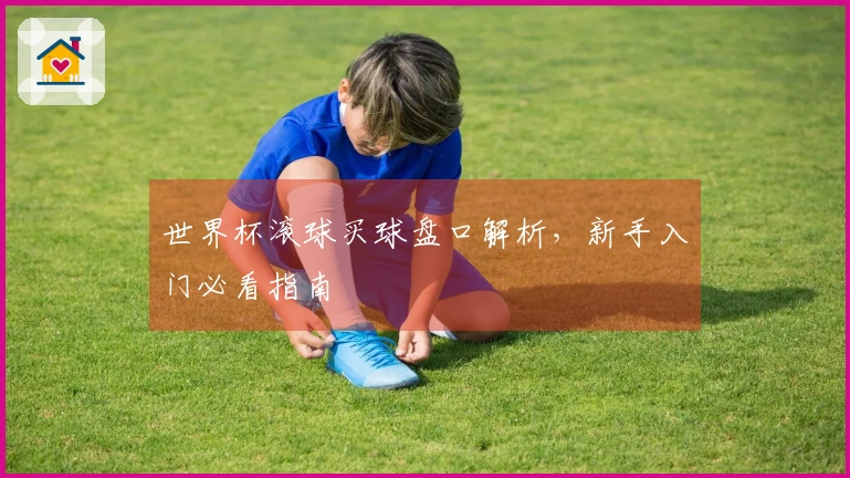 世界杯滚球买球盘口解析，新手入门必看指南