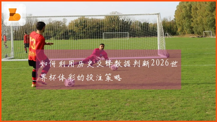 如何利用历史交锋数据判断2026世界杯体彩的投注策略