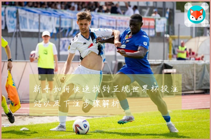 新手如何快速找到正规世界杯投注站以及下注步骤解析