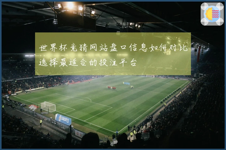 世界杯竞猜网站盘口信息如何对比选择最适合的投注平台