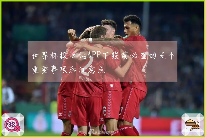 世界杯投注站APP下载前必查的五个重要事项和注意点